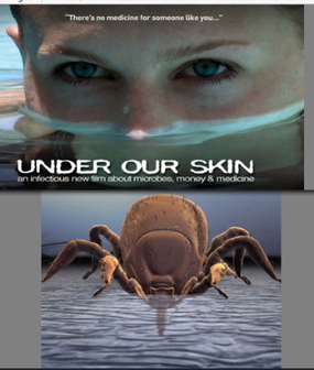 itunes pic